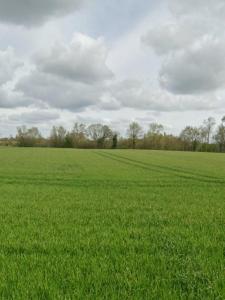 For sale Bouhet 452 m2 Charente maritime (17540) photo 2