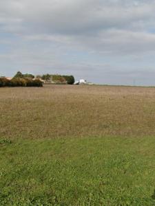 Annonce Vente Terrain Puilboreau 17