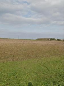 Acheter Terrain 333 m2 Puilboreau