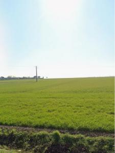For sale Verines 354 m2 Charente maritime (17540) photo 0