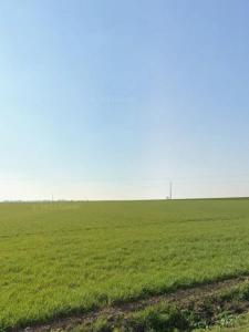 For sale Verines 354 m2 Charente maritime (17540) photo 1