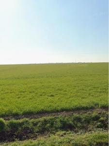 For sale Verines 354 m2 Charente maritime (17540) photo 2