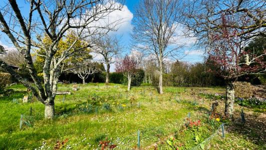 Annonce Vente 4 pices Maison Blaye 33