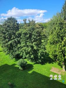 Annonce Location 4 pices Appartement Citry 77