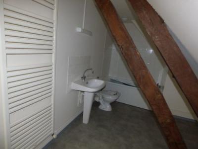For rent Aubigny-sur-nere 2 rooms 41 m2 Cher (18700) photo 4