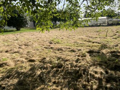 Acheter Terrain Noyal-muzillac Morbihan