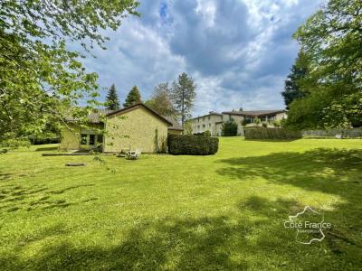 Annonce Vente Commerce Peyrat-de-bellac 87
