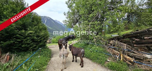 For sale Chamonix-mont-blanc 715 m2 Haute savoie (74400) photo 2