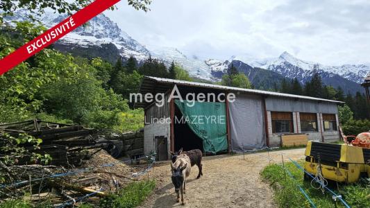 For sale Chamonix-mont-blanc 715 m2 Haute savoie (74400) photo 4