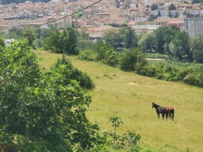 For sale Millau 5 rooms 78 m2 Aveyron (12100) photo 1