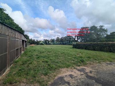 Annonce Vente 5 pices Maison Ferel 56