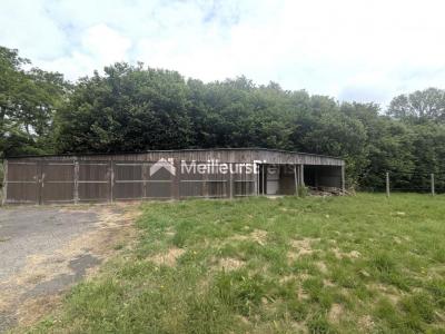 Acheter Maison 104 m2 Ferel