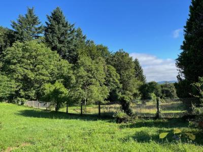 Annonce Vente Terrain Treignac 19