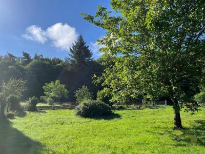 Acheter Terrain Treignac Correze