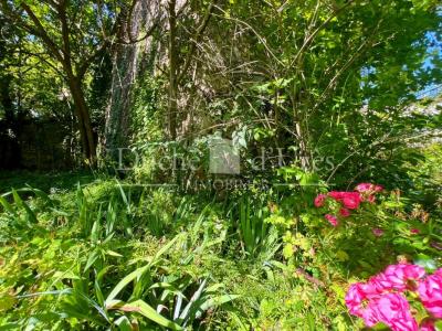 Acheter Maison 80 m2 Uzes
