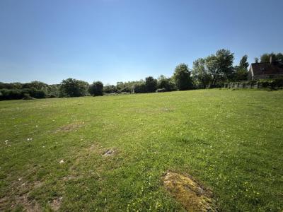 Annonce Vente Terrain Bazoches-au-houlme 61