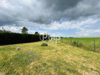 Annonce Vente 4 pices Maison Erchin 59