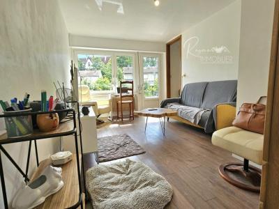 Acheter Maison 55 m2 Mulhouse