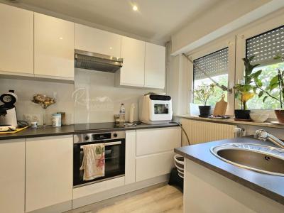 Acheter Maison Mulhouse Haut rhin