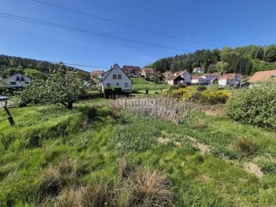 Acheter Maison 142 m2 Reipertswiller
