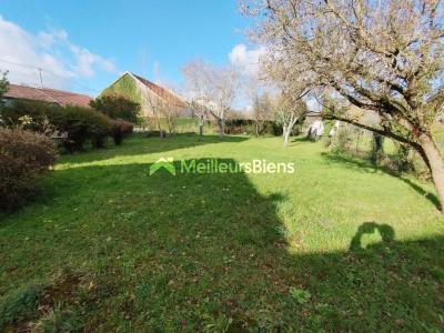 Annonce Vente 4 pices Maison Chauffourt 52