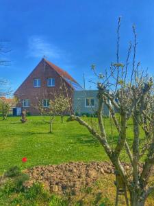 Annonce Vente 6 pices Maison Renescure 59