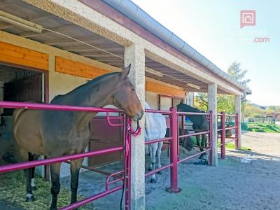 Acheter Maison Metz 750000 euros