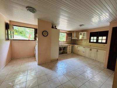 Acheter Maison Gros-morne Martinique