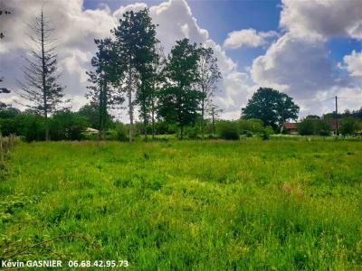 For sale Chazelles 19380 m2 Charente (16380) photo 0