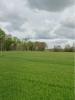 For sale Land Bouhet 452 m2