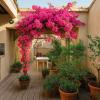 Vente Appartement Carcassonne 5 pieces 274 m2