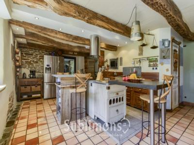 Acheter Prestige 263 m2 Croix-hellean