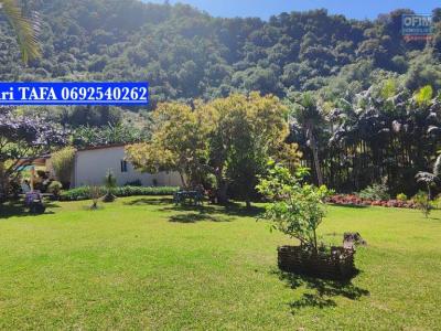 For sale Saint-joseph Reunion (97480) photo 1