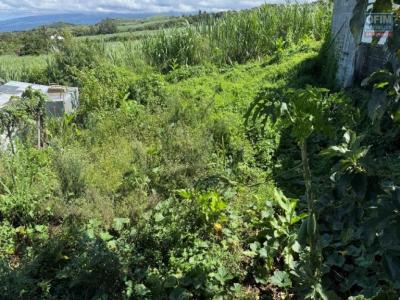For sale Saint-pierre Reunion (97410) photo 2