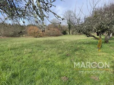 Annonce Vente Terrain Chenerailles 23