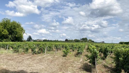 Acheter Terrain  850000 euros