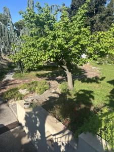 For sale CENTRE VILLE 4 rooms 86 m2 Herault (34140) photo 2