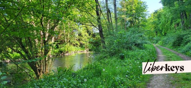 For sale Nonancourt 1 room 1200 m2 Eure (27320) photo 3