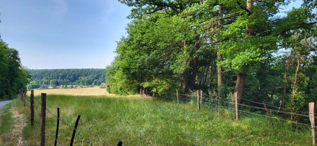 For sale Nonancourt 1 room 1200 m2 Eure (27320) photo 4