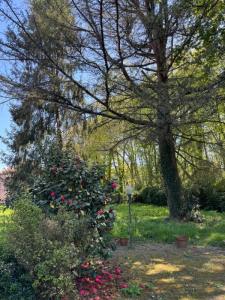 For sale Yvrac 5 rooms 99 m2 Gironde (33370) photo 1