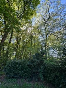 For sale Yvrac 5 rooms 99 m2 Gironde (33370) photo 3