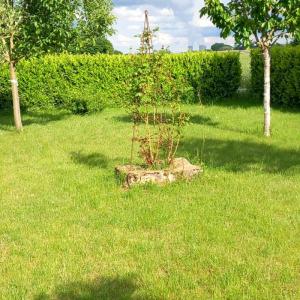 Acheter Maison Saint-pere-sur-loire 136200 euros