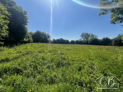 For sale Appeville TERRE-ET-MARAIS 4671 m2 Manche (50500) photo 0
