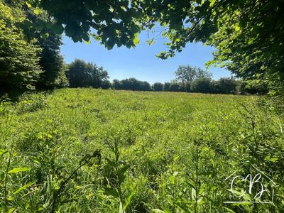 Annonce Vente Terrain Appeville 50