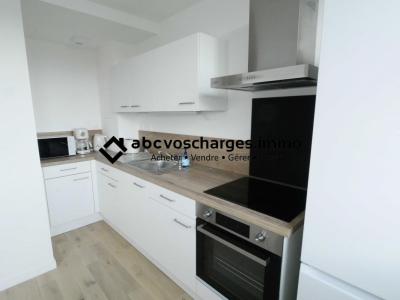For rent Lille 2 rooms 47 m2 Nord (59000) photo 1