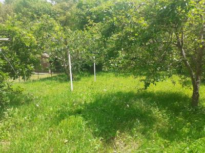Annonce Vente 5 pices Maison Montazels 11