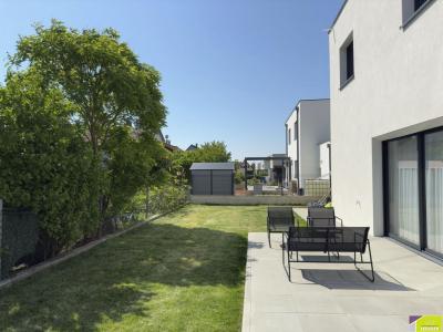Annonce Vente 6 pices Maison Sainte-croix-en-plaine 68