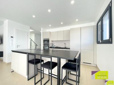 Acheter Maison 140 m2 Sainte-croix-en-plaine