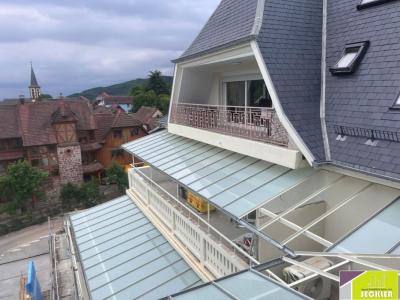 Annonce Vente 3 pices Appartement Thannenkirch 68