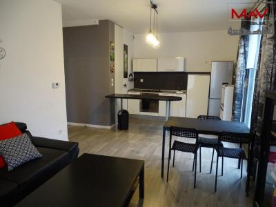 Annonce Location 3 pices Appartement Loos 59